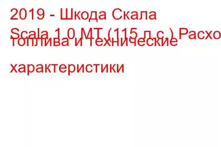 2019 - Шкода Скала
Scala 1.0 MT (115 л.с.) Расход топлива и технические характеристики