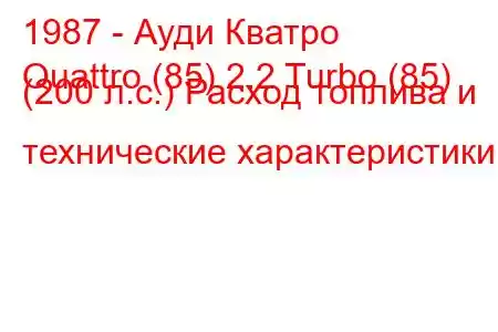 1987 - Ауди Кватро
Quattro (85) 2.2 Turbo (85) (200 л.с.) Расход топлива и технические характеристики