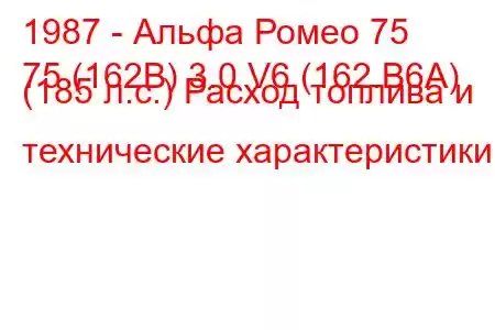 1987 - Альфа Ромео 75
75 (162B) 3.0 V6 (162.B6A) (185 л.с.) Расход топлива и технические характеристики