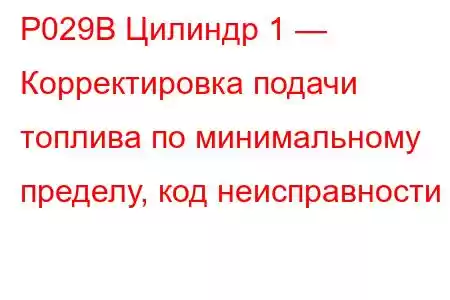 P029B Цилиндр 1 — Корректировка подачи топлива по минимальному пределу, код неисправности